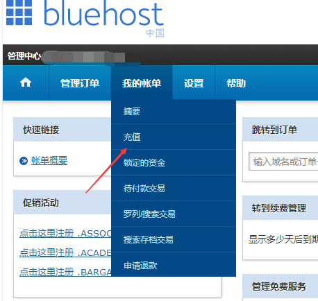 BlueHost站群服务器怎么购买